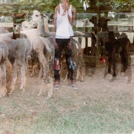 Forgiveness/4th of July Yin Yang