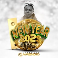 New Year 2023 - DJ Amendio
