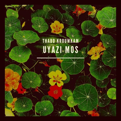 Uyazi Mos (feat. Kiki V) - Single