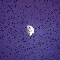 talk2you (feat. Superybf!) - Single - HyperGod