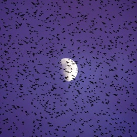 talk2you (feat. Superybf!) HyperGod