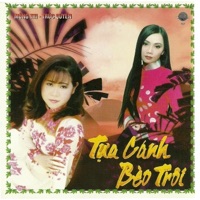 Tựa Cánh Bèo Trôi (Hải Âu 157) - Mong Thi