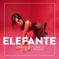 Elefante (ToldorTunes Remix) - Single - NK