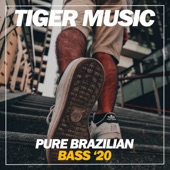 Pure Brazilian Bass '20 artwork