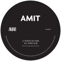 Points in Time / Wake Dub - Single - Amit