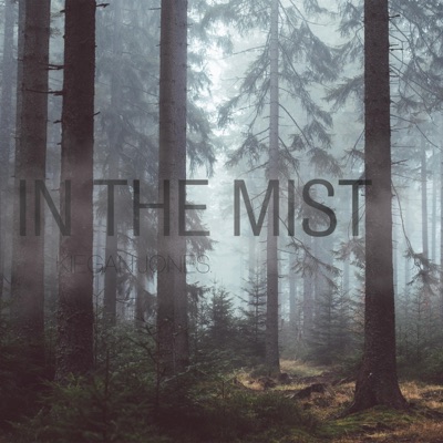 IN the Mist - Single