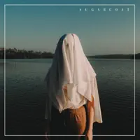 Son of a Beach — The Polarity