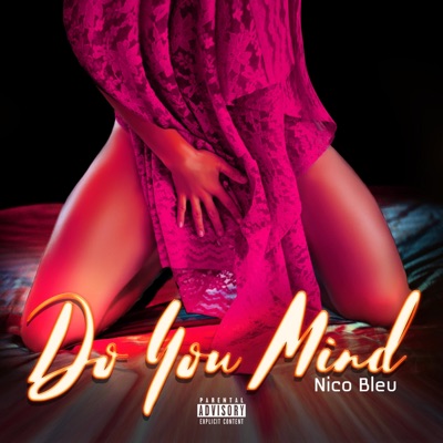 Do You Mind - Single