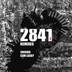 2841, Pt. 1 Remixes - Single