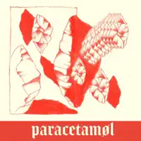 Black Sugar — Paracetamøl