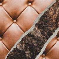 Too Comfy - Single - Bdice