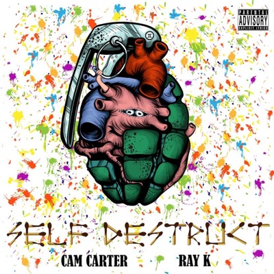 Self Destruct - Single