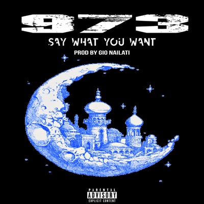 Say What You Want - Single