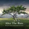 After the Rain - Samuel Kim & Blake Matthew lyrics