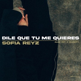 Dile Que Tu Me Quieres Sofia Reyz, Alex Roy & Shawty Music