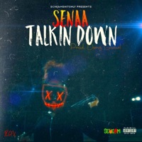 Talkin' Down - Single - Senaa
