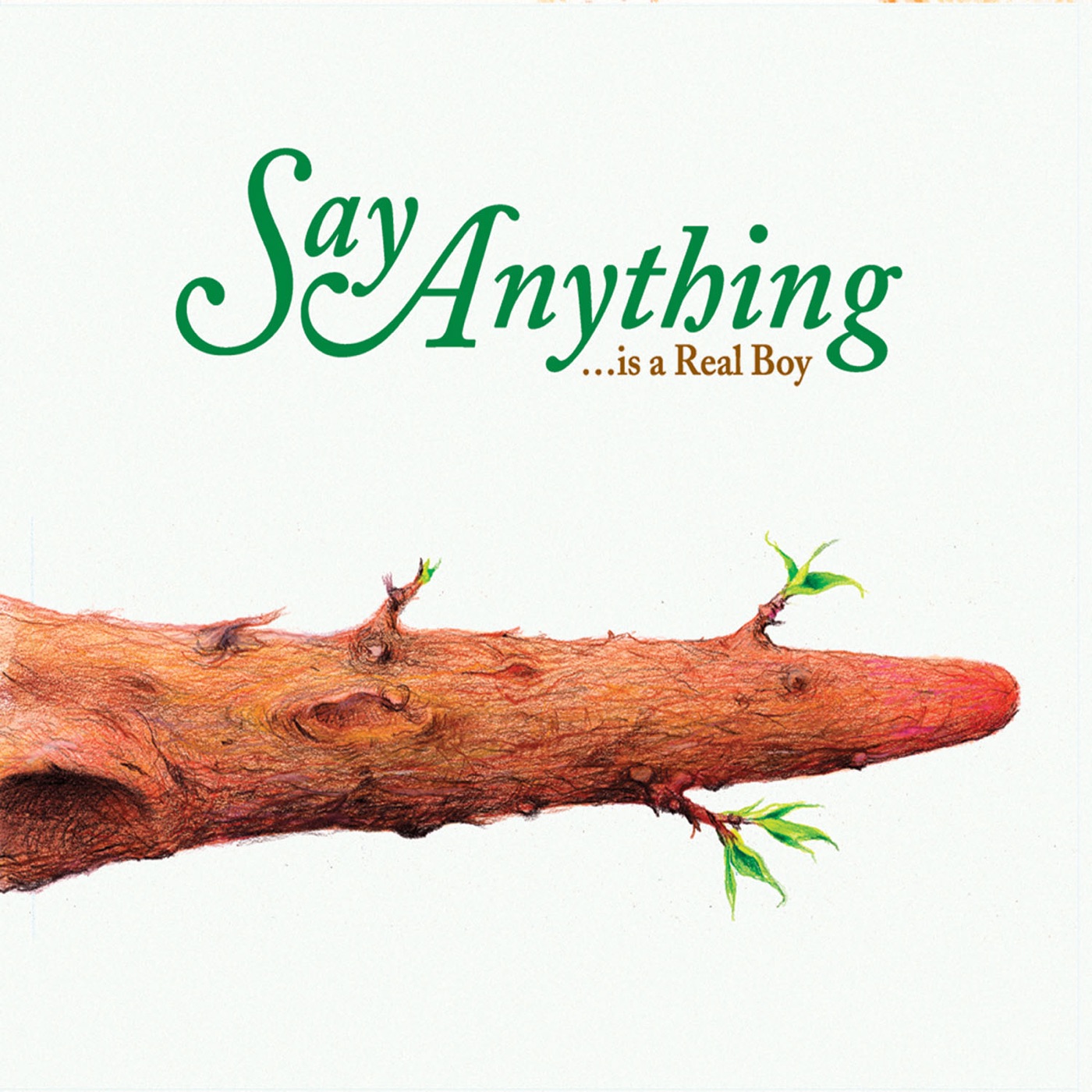 Is a Real Boy by Say Anything