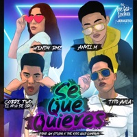 Se que quieres (feat. Anyel M, Tito Avila & Wendy RMZ) - Single - Brauh