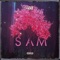 Sam - ITZ IVKE lyrics