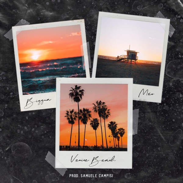 Venice Beach (feat. Biggua)