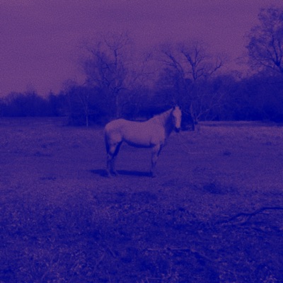 Took Two Pills (feat. Domyon) - Single