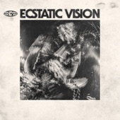 Ecstatic Vision - Shut up and Drive