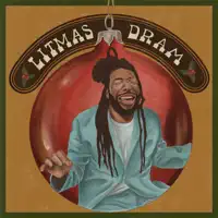 Litmas — DRAM