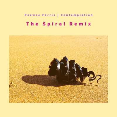 Contemplation (The Spiral Remix) - Single