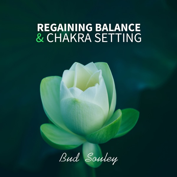 Regaining Balance & Chakra Setting