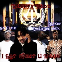 I Got What You Need (feat. Crunchy Black, Vo - Flex & Dolla Bill) - Single - Derrty Redd