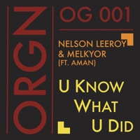 U Know What U Did (feat. Aman) - Single - Nelson Leeroy & Melkyor