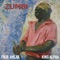 Zumbi - Fikir Amlak & King Alph lyrics