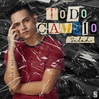 Todo cambió - Single - Salah