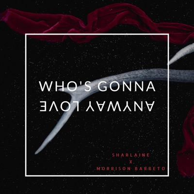 Who's Gonna Love Anyway (feat. Morrison Barreto) - Single