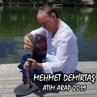 Mehmet Demirtaş - Ankara Kalsın Sizlere (Canlı Performans)