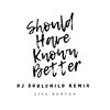 Should Have Known Better (DJ Soulchild Remix)