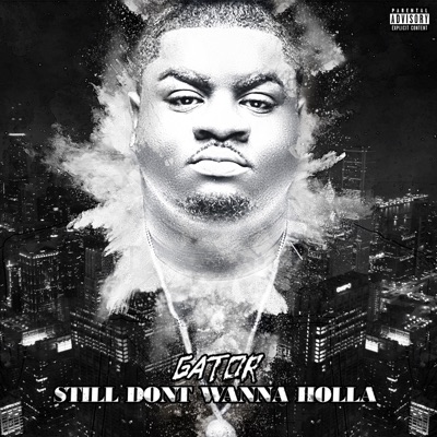 Still Don't Wanna Holla