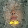 Amour de jeunesse by 313 iTunes Track 1