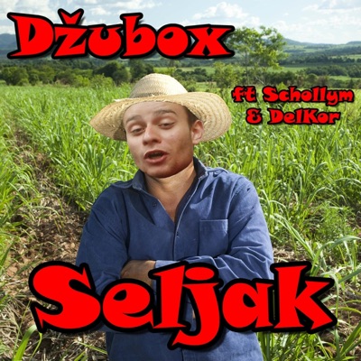 Seljak (feat. Schollym & Delkor) - Single