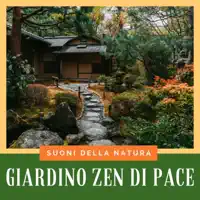 Lotus Relaxation — Pace Interiore