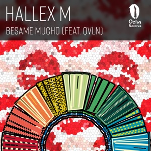 Besame Mucho (feat. QVLN) - EP