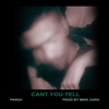 Can't You Tell - Single