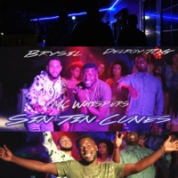 Sin Tin Cunes (feat. Delroytog & MC Wishpers) - Single - Brysil