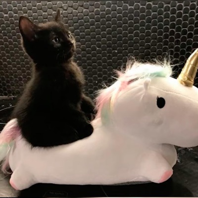 Antidossj - Camara Lenta (Speed Up)