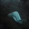 Heracleion - Xzicd lyrics