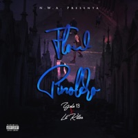 Flow Pinolero (feat. Yolo 13 & Lil Killer) - Single - Nicoyas Con Actitud