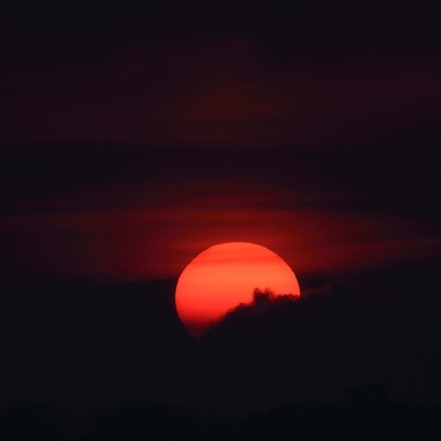 Forever Stand (feat. Blokk & AZ') - Single