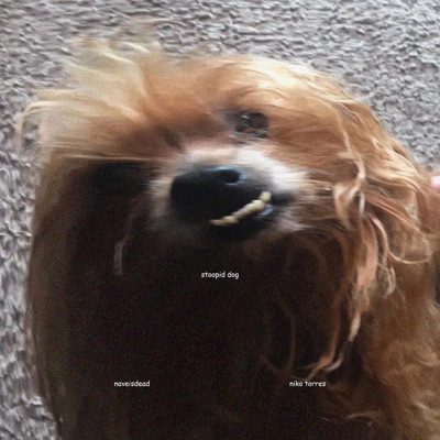 Stoopid Dog! - Single