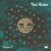New Moons: Vol. IV artwork