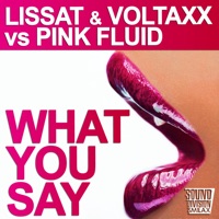 What You Say - Single - Lissat, Voltaxx & Pink Fluid